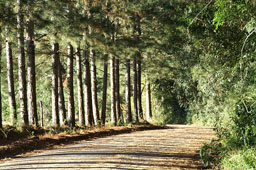 Gramado, mountains